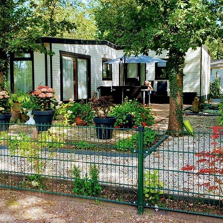 Chalet 58 "Pollie" Hattemerbroek 外观 照片